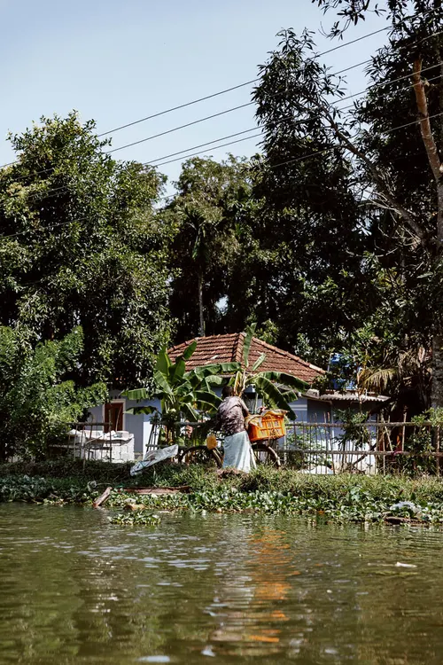 Kerala Backwaters & Hills Image