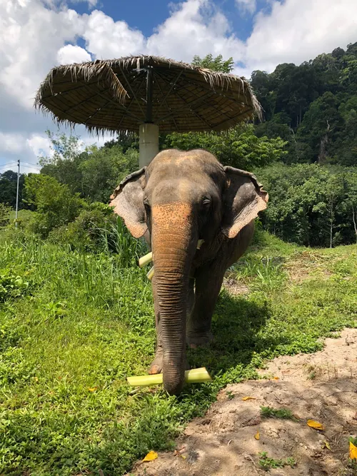 Underwater Adventure Package Image