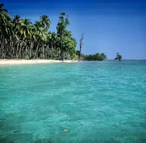 Andaman Island Hopping Image
