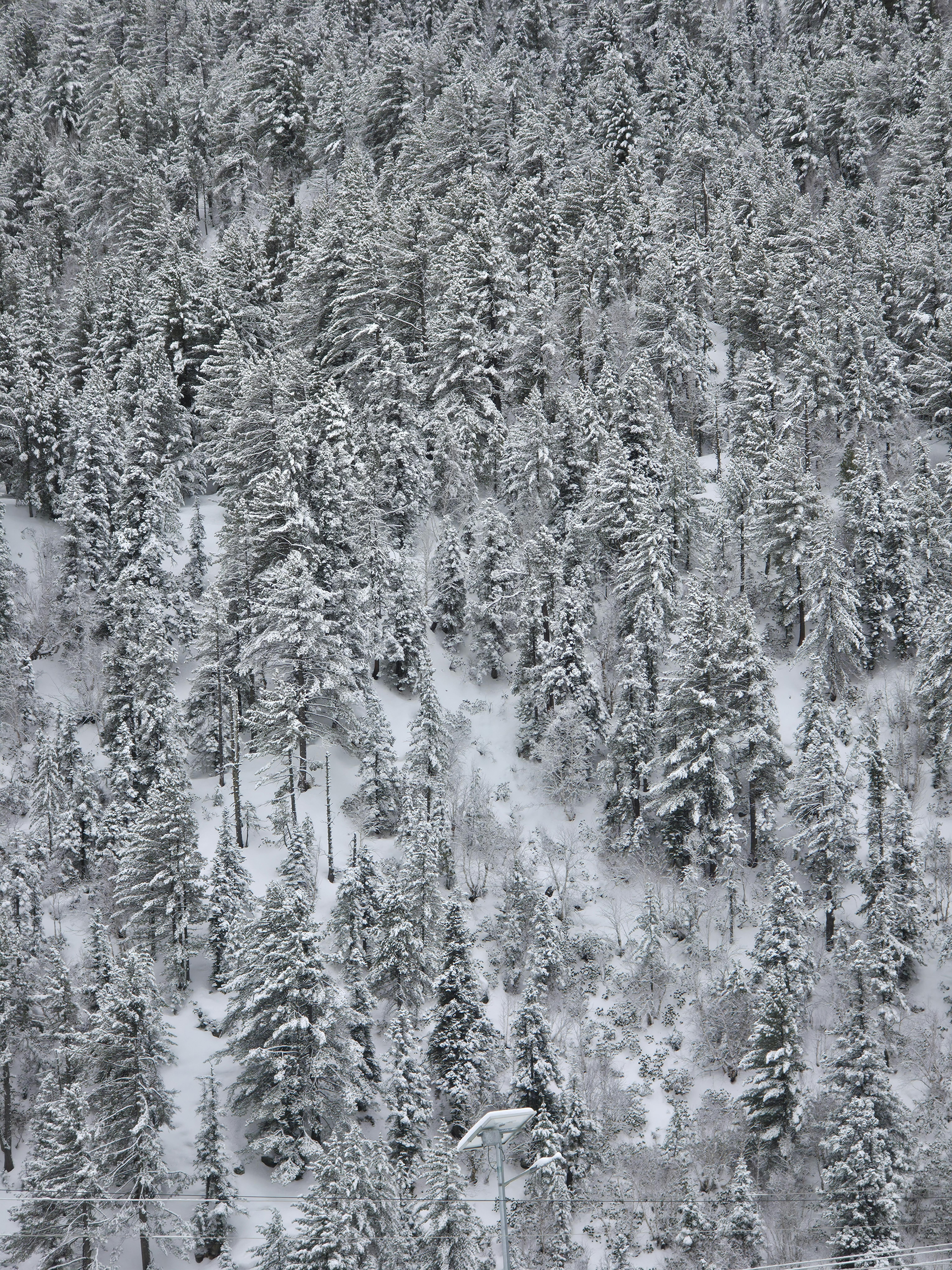 Spiti Valley Adventure