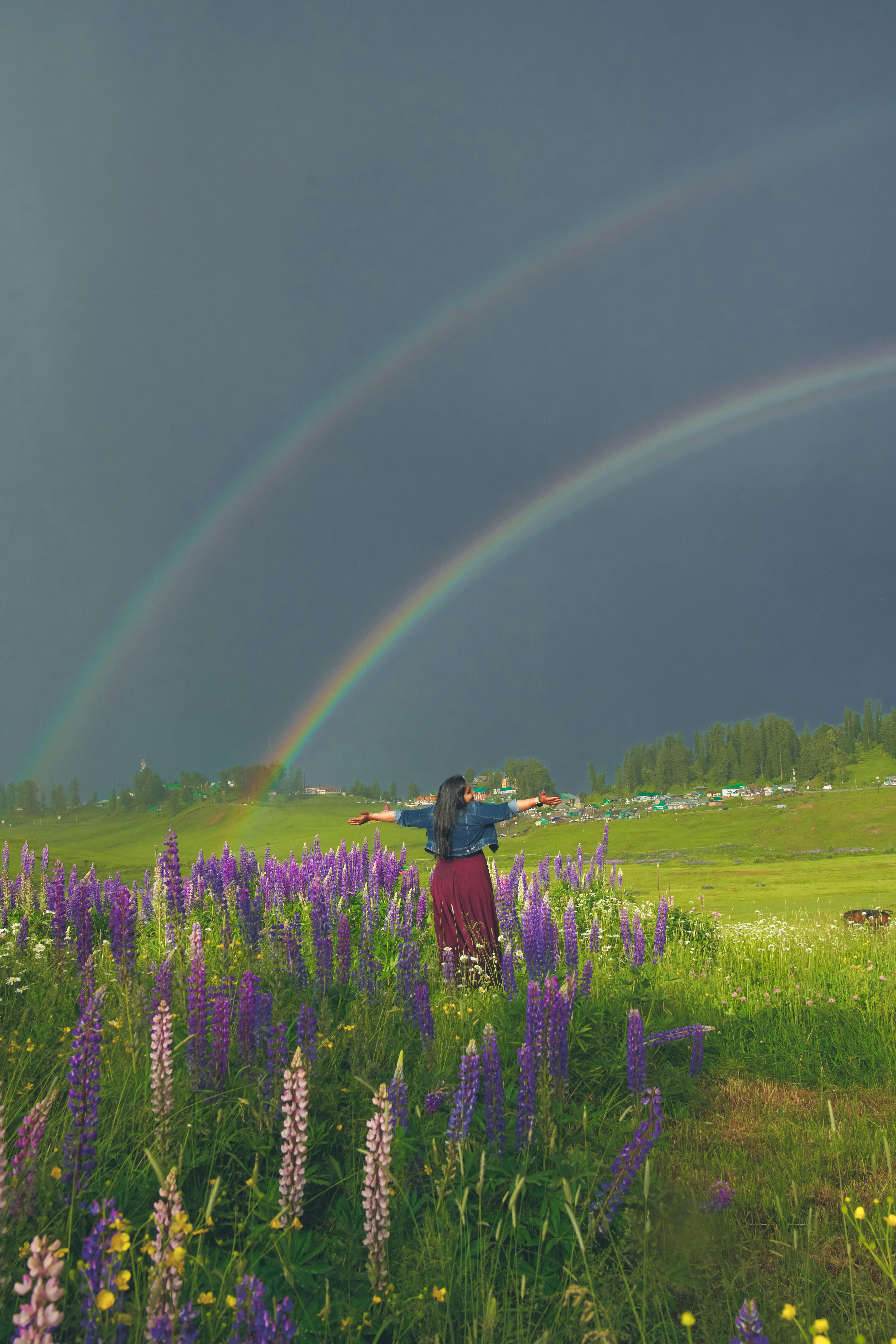 Gulmarg Meadow