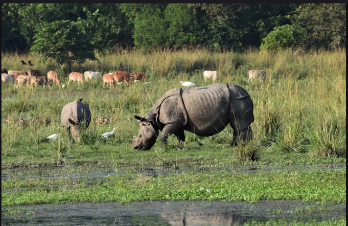 Assam & Meghalaya Explorer Image