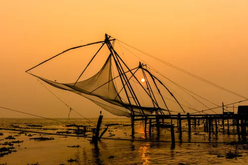 Kerala Backwaters & Hills Image