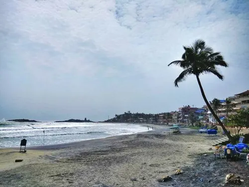 Spice Coast & Wildlife Image