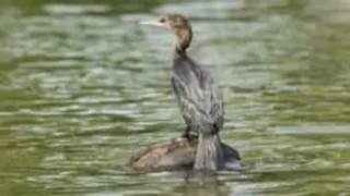 Complete Kerala Experience Image