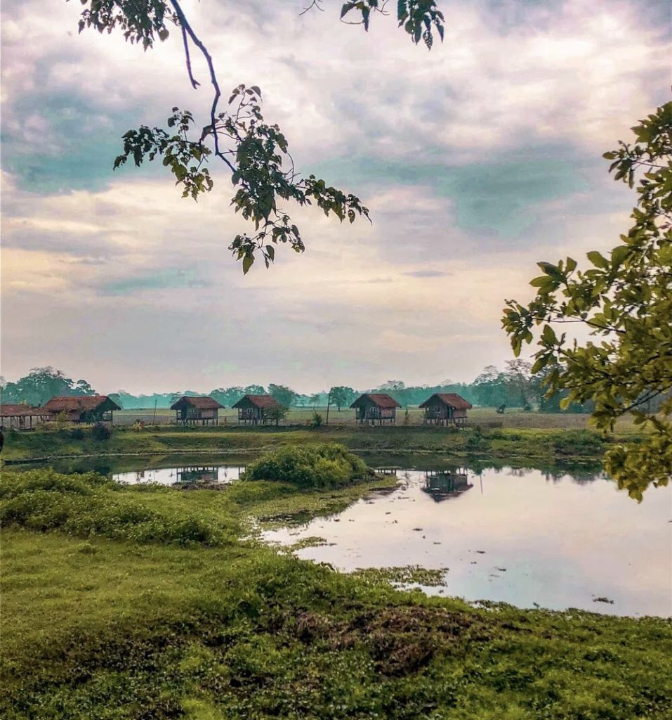 Northeast Cultural & Wildlife Image