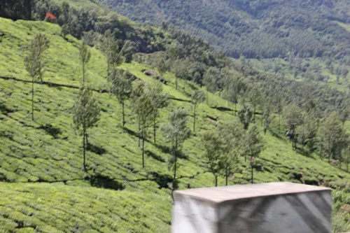 Kerala Backwaters & Hills Image