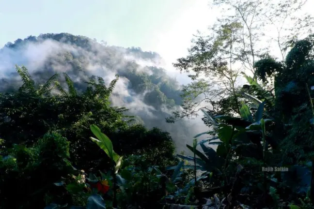 Complete Arunachal Explorer Image