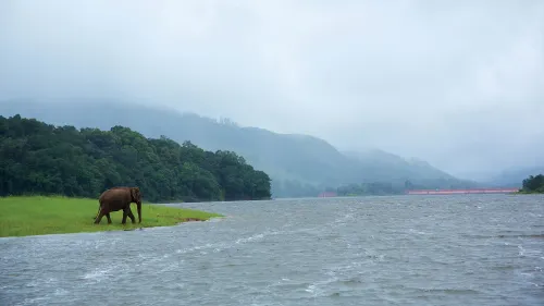 Spice Coast & Wildlife Image