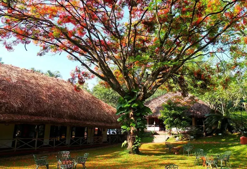 Spice Coast & Wildlife Image