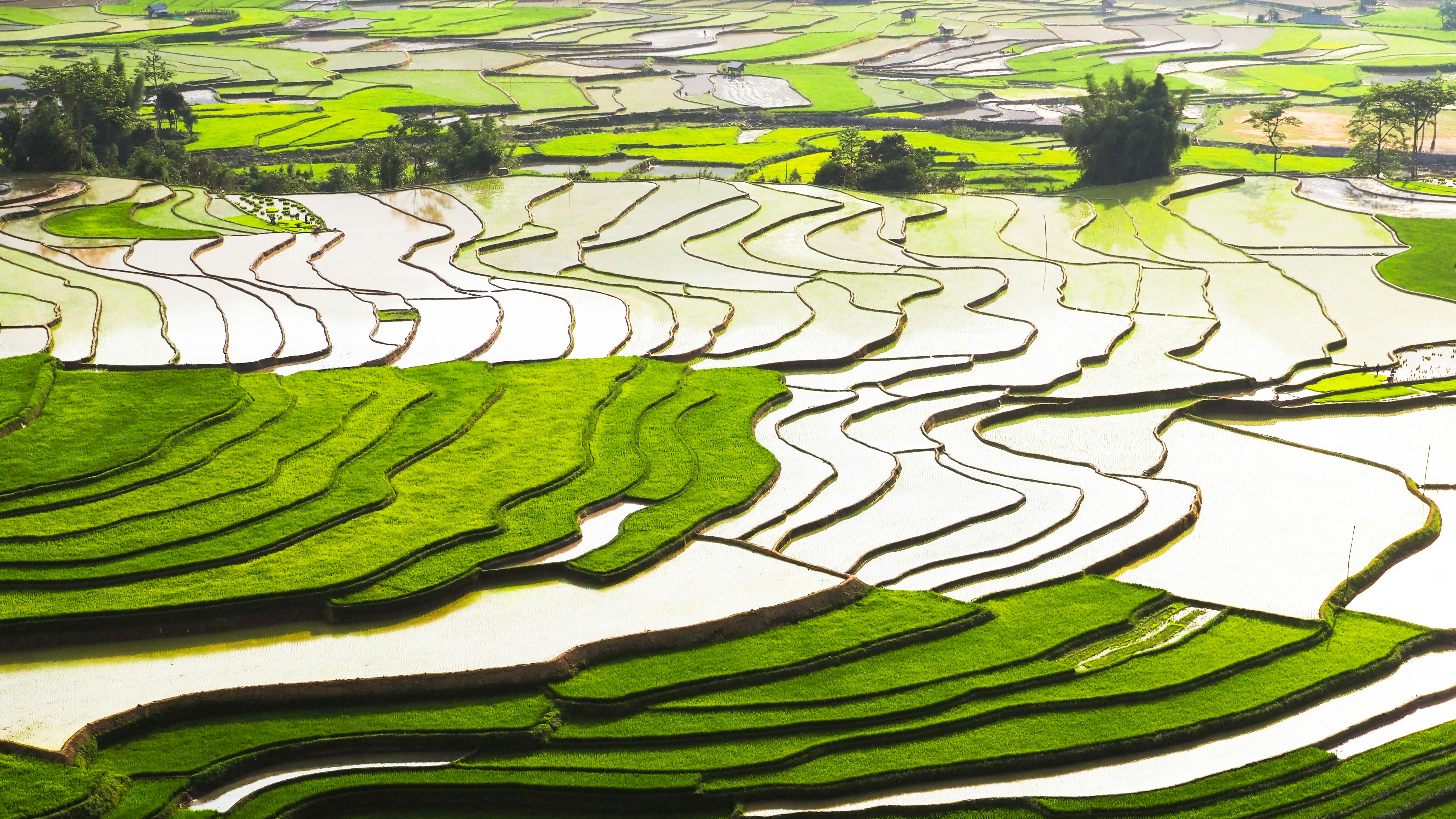 Vietnam Nature & Adventure Explorer