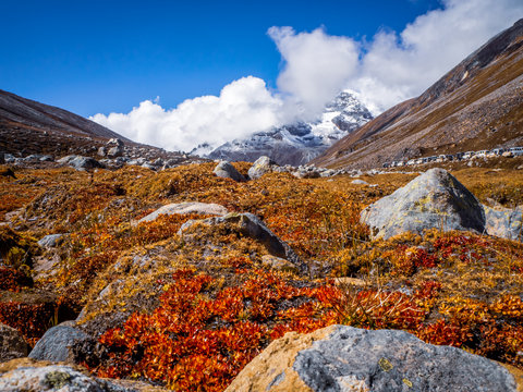 North Sikkim Adventure Image